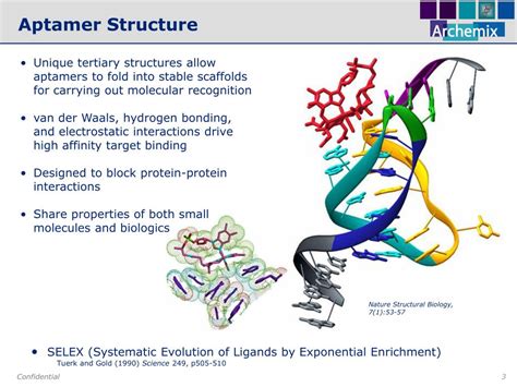 PPT - Preclinical Safety Assessment of Aptamer Therapeutics PowerPoint ...