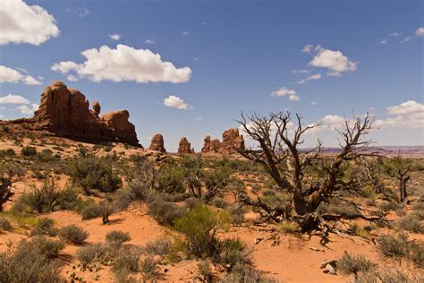 Scenic Photos: Desert Scenery Photos