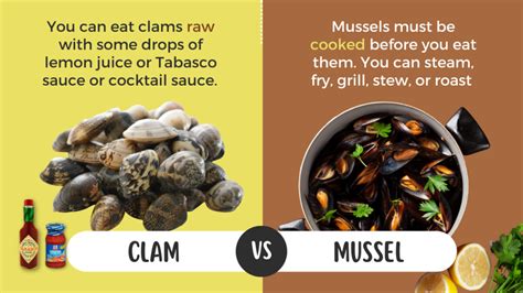 Clam Vs Mussel: Startling Differences You Had No Clue About!