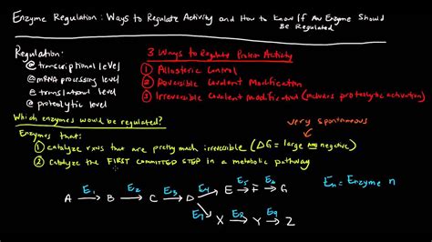 Enzyme Regulation (Part 1 of 5) - How [and which] Enzymes are Regulated ...