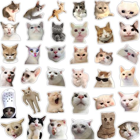 Buy 36 Funny Cat Stickers Pack, Hilarious Cat Meme Decals Set ...