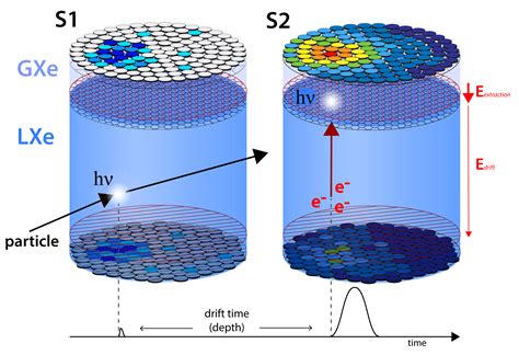 Dark Matter Detection