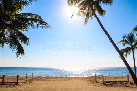 View of Sunny Day Tropical Beach with Palm Trees and Fence Stock Photo ...