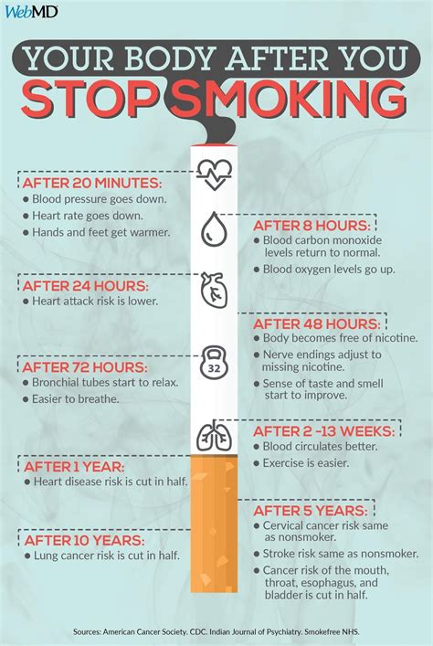 What happens to your body when you quit smoking : r/coolguides