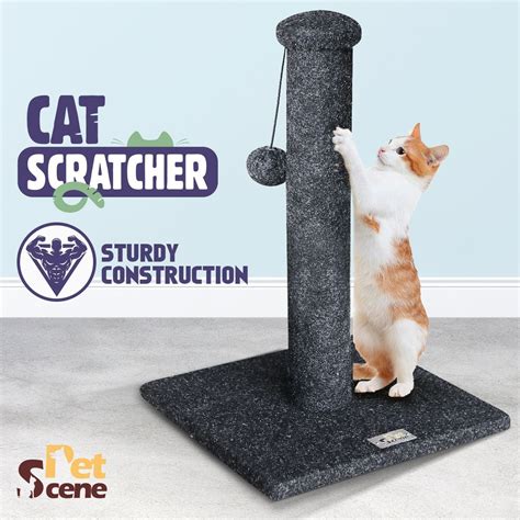 43CM Cat Scratching Post Scratcher Pole Climbing Frame with Toy | Cat ...