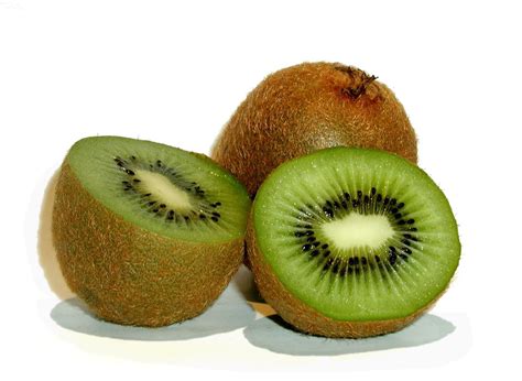 kiwi fruit 1 Free Photo Download | FreeImages