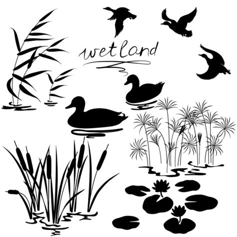 ᐈ Wetland animal stock images, Royalty Free wetland vectors | download ...