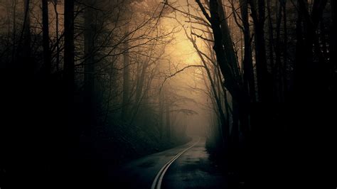 🔥 [0+] Dark Forest HD Wallpapers | WallpaperSafari