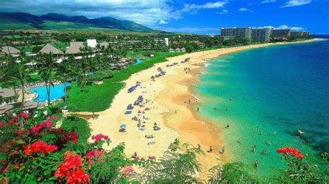 The Top-Rated Tourist Attractions in Maui, Hawaii - PMCAOnline