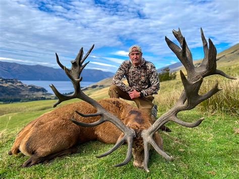 New Zealand Red Stag - Quality Hunts