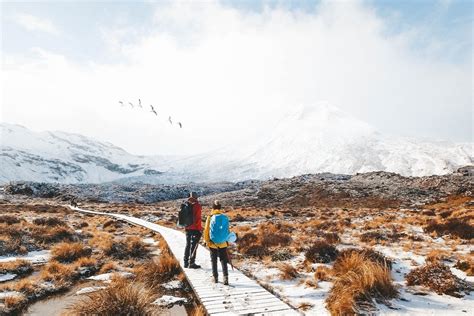 9 Reasons Why you Should Travel New Zealand in Winter