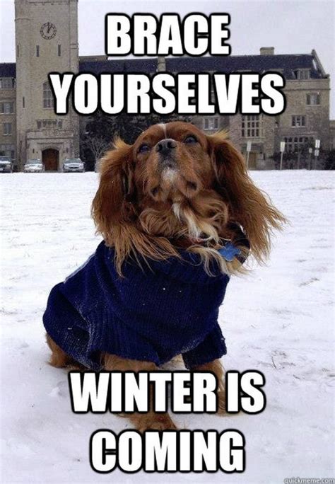 55 Funny Winter Memes That Are Relatable If You Live in the North