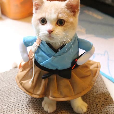 Funny Cat Costume Uniform Suit Cat Clothes Costume Puppy Clothes ...