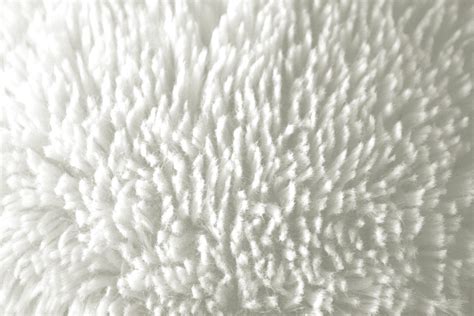 Plush White Fabric Texture – Photos Public Domain