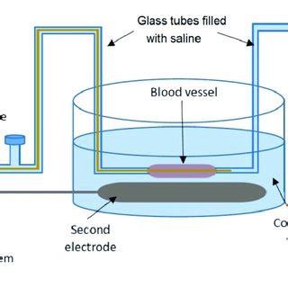 Block diagram of the bioimpedance spectroscopy measurement system ...