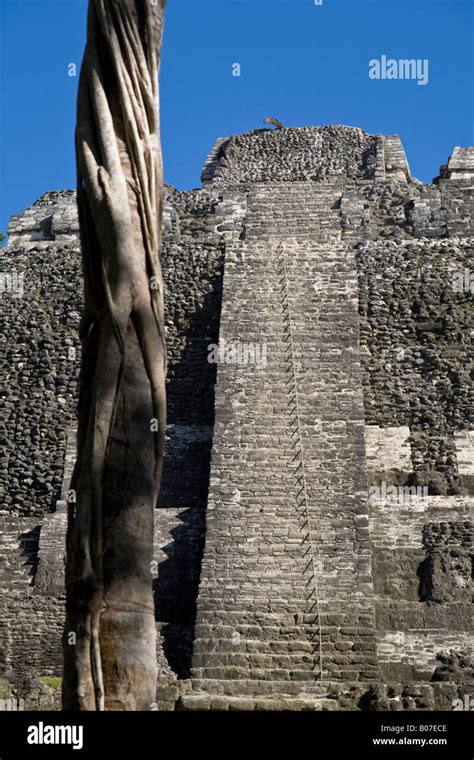 Belize, Lamanai, High Temple (Structure N10-43) The highest temple in ...