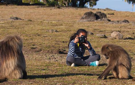 Ethiopia Photo Tour | Wildlife Observations Worldwide