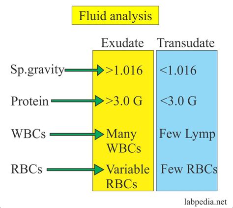 Fluid Analysis – Part 1 – Normal findings, Pleural, Pericardial, and ...