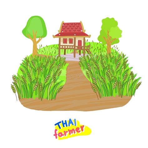 Cartoon Rice in Farmer Vector Stock Vector - Illustration of fresh ...