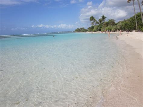 guadeloupe-beach | Select Yachts