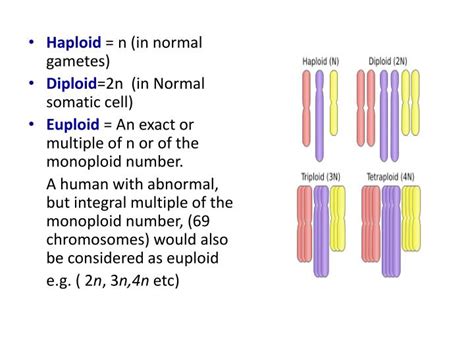 PPT - CHROMOSOMAL ABNORMALITIES PowerPoint Presentation - ID:5719987