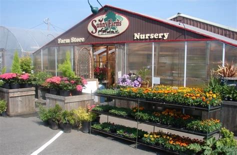 Sunny Farms Nursery and Farm Store – Sequim Daily Photo