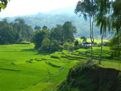 Cultural holiday in Indonesia | Responsible Travel