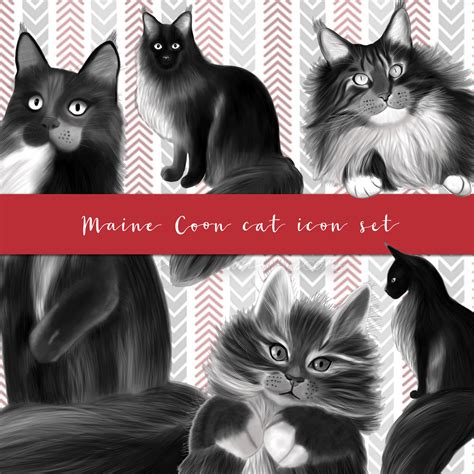 5 Maine Coon cat icons (hand drawn) - Magda Design - Printable planners ...