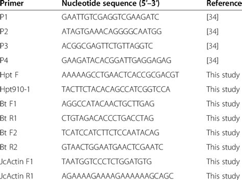 DNA primers used in this study | Download Table