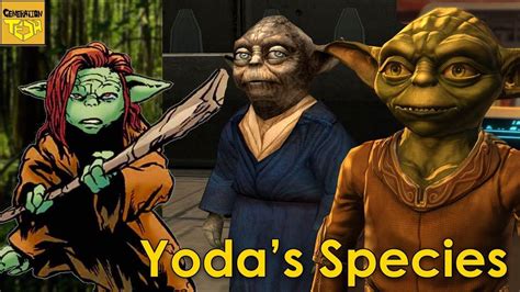 76 Best Of What Is Yoda's Species Name - insectza