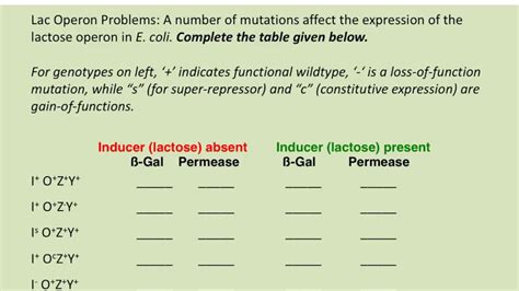 BIOL183: Solving Lac operon problems - YouTube