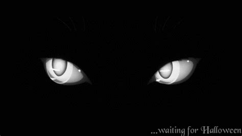 halloween cat eyes gif | WiffleGif