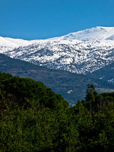 View of Snowy Mt. Hermon | Snow-capped Mount Hermon on a win… | Flickr