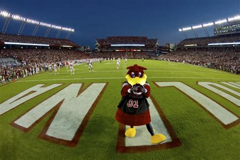 Williams-Brice Stadium