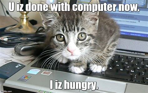 Cat Funny Computer