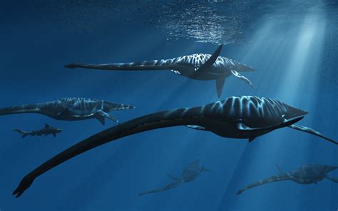 Elasmosaurus Facts, Adaptation, Classification and Species