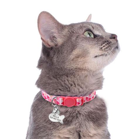 Personalized Cat Breakaway Collar Quick Release Buckle Fish ID Name Tag ...