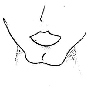 Free Chin Cliparts, Download Free Chin Cliparts png images, Free ...