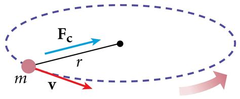 Centripetal Force Free Body Diagram - Wiring Site Resource