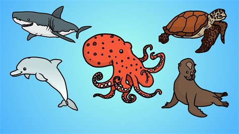 Draw Five: How to Draw Ocean Animals - YouTube