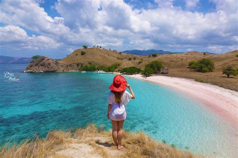 Komodo Island Pink Beach