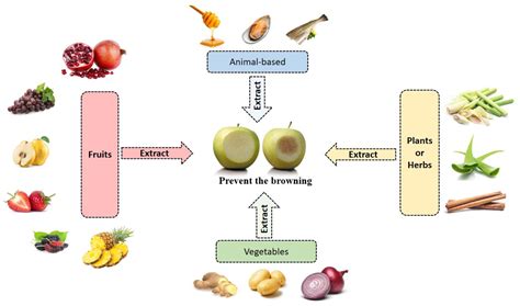 Molecules | Free Full-Text | Prevention of Enzymatic Browning by ...