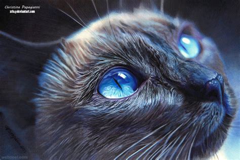 30 Beautiful Cat Drawings - Best Color Pencil Drawings and Paintings ...