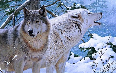 Majestic Winter Wolves HD Wallpaper by Rod Lawrence