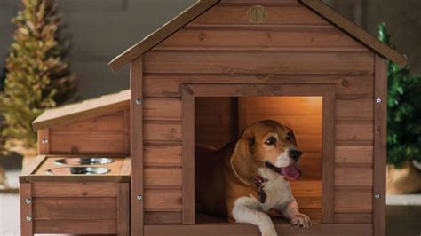 15 Best Fancy Dog Houses - Cool Luxury Dog Houses To Buy