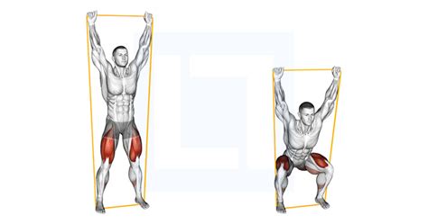 Resistance Band Overhead Squat - Guide, Benefits, and Form