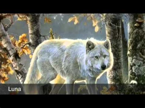 Blue moon wolf pack - YouTube