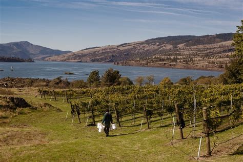 12 Best Hood River Wineries to Visit in Northern Oregon - Go Wander Wild