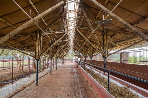 compartment S4 completes a bamboo cow shelter in india