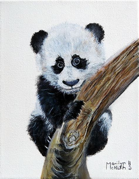 Baby Panda Painting by Marilyn McNish | Fine Art America